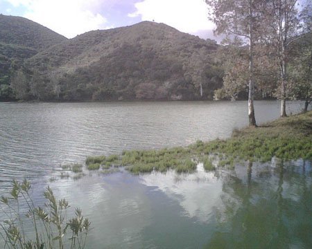 Los embalses de la Cuenca del Guadalquivir se sitúan, a día de hoy, al 55,5% de su capacidad