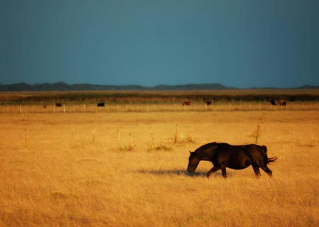 En el Museo del Manchonero recreará las formas de trabajo en el campo/Foto de Eduardo Amorim