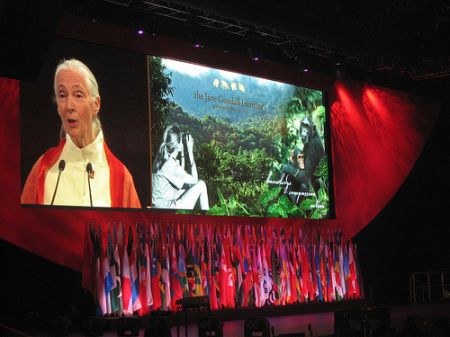 Imagen del Instituo Jane Goodall/Rotary Club