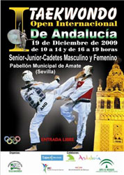 Cartel informativo de la competición.