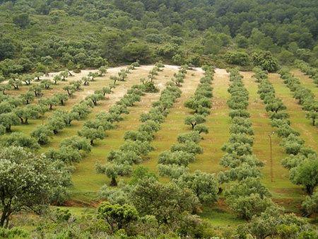 El proyecto en el que se enmarca esta investigación está financiado por el Plan Nacional