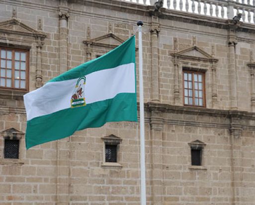El Parlamento acoge hoy un Pleno institucional