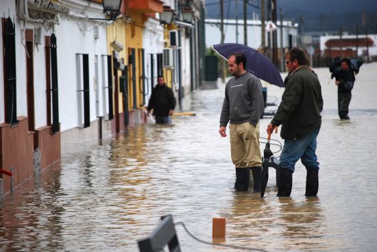 Tocina o Lora del Río se han llevado la peor parte de la crecida del Guadalquivir hasta el momento/DMG
