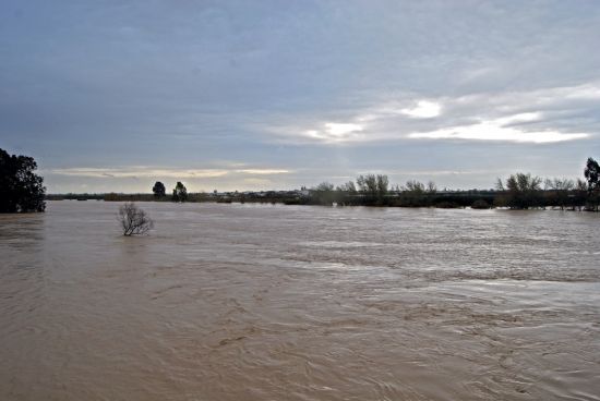 El Guadalquivir a poco de alcanzar el puente de la carretera SE-4100, que une Tocina y Villanueva del Río y Minas/SA