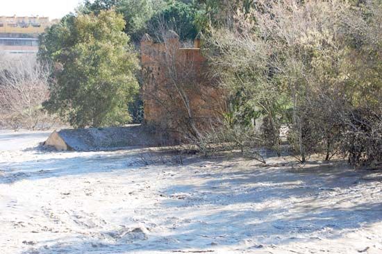 El molino del Algarrobo en pleno Parque de Oromana, engullido por el gran caudal del río Guadaíra