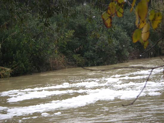 Son más de tres los vertidos que se han producido al río Guadaíra en lo que llevamos de año/Sevilla Actualidad