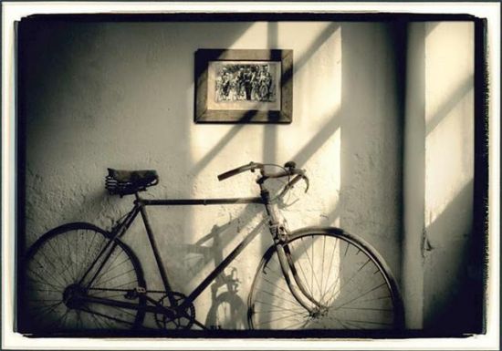 `Memorias de Ceniza`ha ganado el primer premio