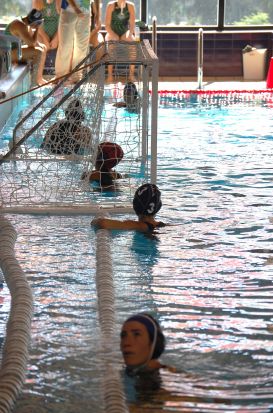 El C. W. Dos Hermanas plantó cara al conjunto barcelonés