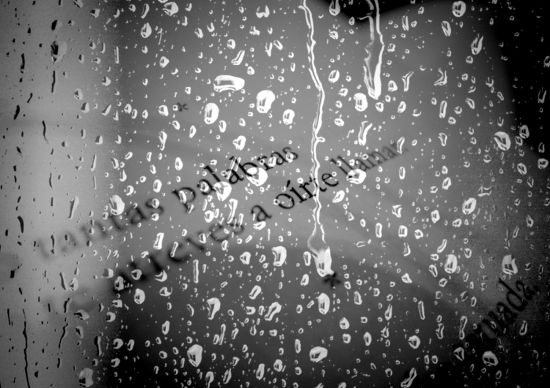 Gritos y susurros, por Laura Rosal