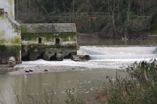 Imagen del río a su paso por el Molino de San Juan el domingo 21 de marzo