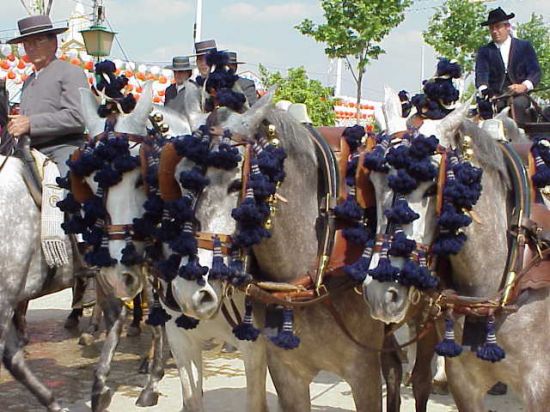 Caballistas/Galeon.com