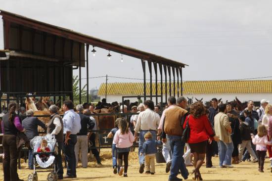 El sábado fue el día de más afluencia de público / S.A.