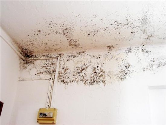 Uno de los problemas que sufre el colegio de mayores es la humedad en sus paredes/PA.