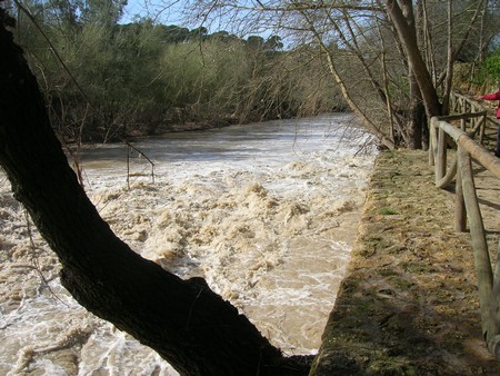 En noviembre del pasado año el río sufrió varios vertidos importantes procedentes de una empresa de Morón/SA.