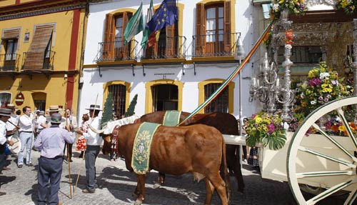 Algunas hermandades alterarán sus recorridos por el alto nivel de los ríos/SA