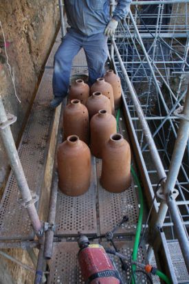 Los nidos estás instalados en las paredes del Castillo de Mairena del Alcor