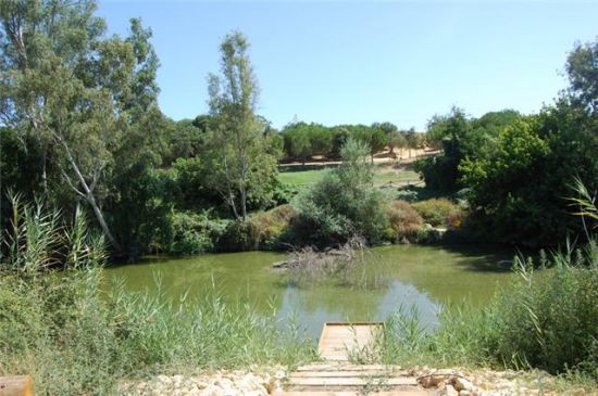 El PP no apoya la propuesta del PSOE para declarar la ribera como Monumento Natural/PSOEAlcala.