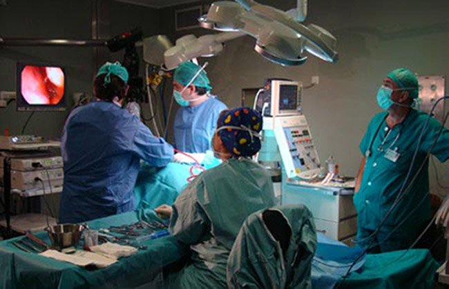 España supera la media europea en donación y trasplantes de órganos. /SA