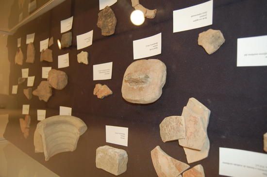 Algunas de las piezas cedidas tienen más de 250 millones de años