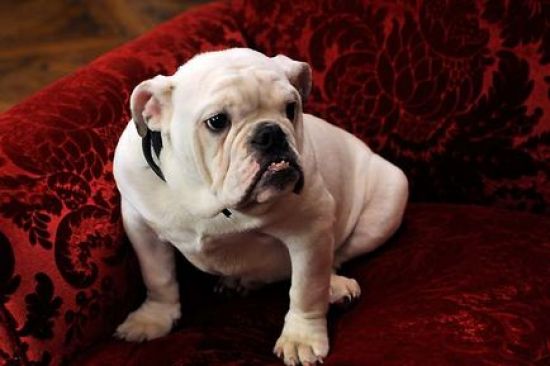 Un regalo para ella es una de las comedias de este verano