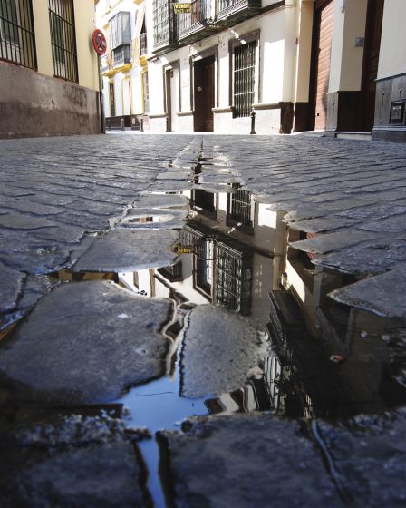 Sevilla-se-mira-Reviriego