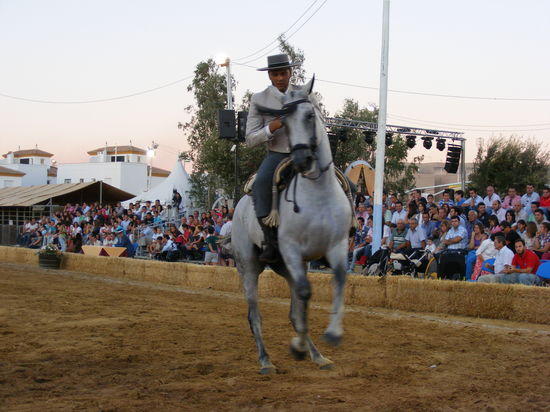 Durante la cita se ha podido disfrutar también del tradicional concurso de Doma Vaquera