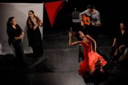 flamenco_CAAC
