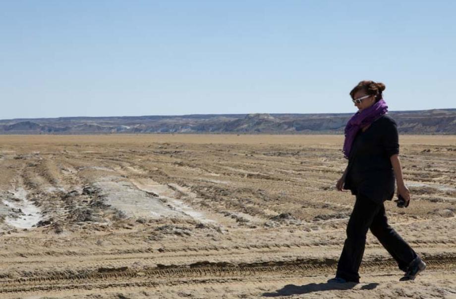 isabel_coixet_aral_sa