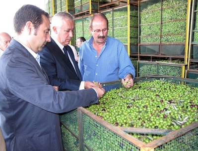 Javier Arenas y Ricardo Sánchez han visitado la Cooperativa y la Conservera para conocer su estado y funcionamiento/PPSevilla.