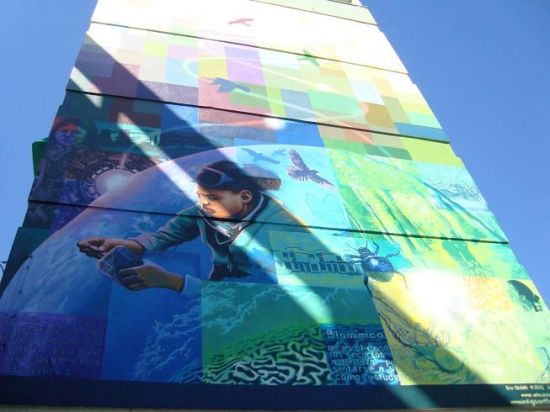 Los murales intentan transmitir un mensaje positivo, como el cuidado medioambiental