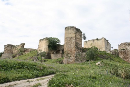 El objetivo de este Plan Especial es recuperar las laderas del Cerro del Castillo como gran espacio de uso público./SA