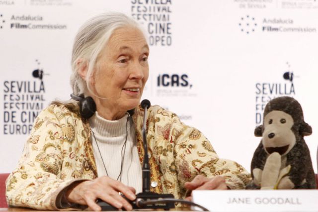 Jane Goodall durante la presentación en el Festival de Cine Europeo de Sevilla