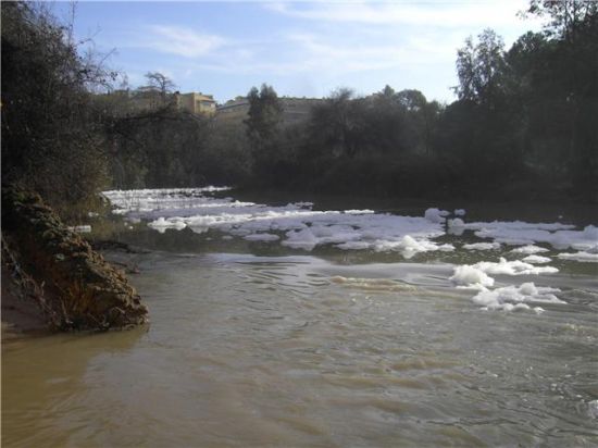 De nuevo, vertidos de sosa cáustica al río Guadaíra.