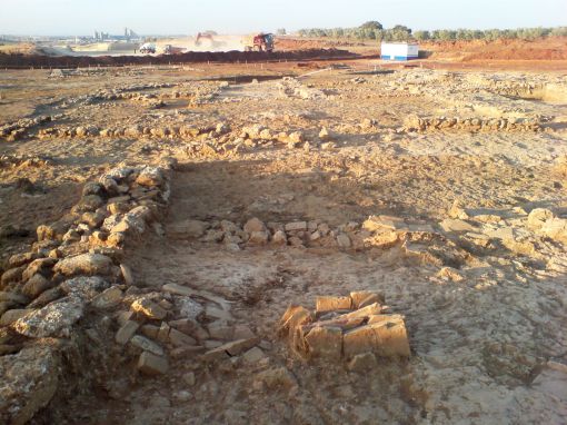 El PA quiere asegurar la conservación de los restos que necesiten estudios