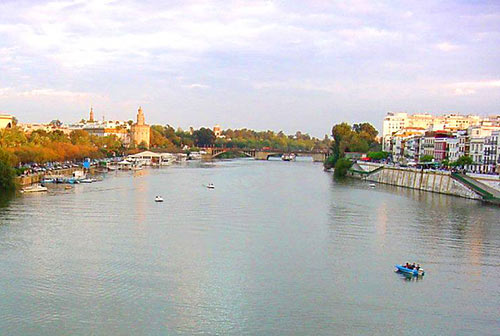 La resistencia del estuario del Guadalquivir es limitada y se ha reducido la diversidad biológica del río. /SA