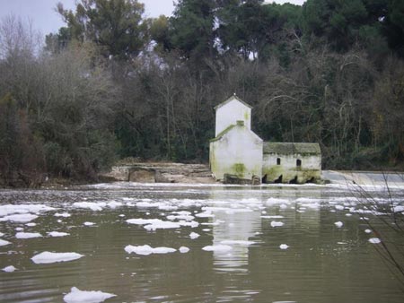 En estas mismas fechas del año pasado el río Guadaíra sufrió varios vertidos/SA.