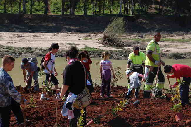 plantacion-arboles-alcala-190311