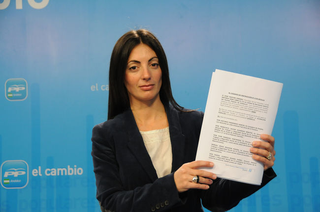 rosario-soto-querella-eres-190311