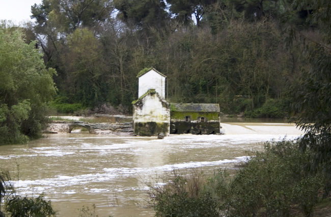 Imagen de ayer de uno de los molinos de Alcalá, en pleno cauce del Guadaíra