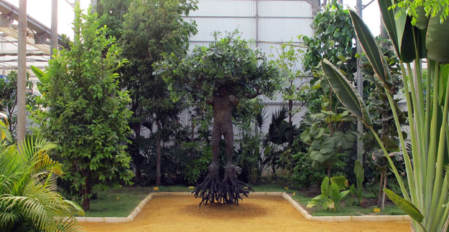 hombre-arbol-escultura