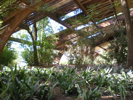 La federación de izquierdas promoverá la declaración del Jardín Americano como Bien de Interés Cultural