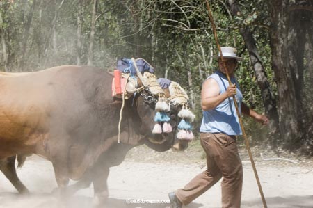 2.800 agentes de la Guardia Civil controlarán la romería de El Rocío/JM Rufian