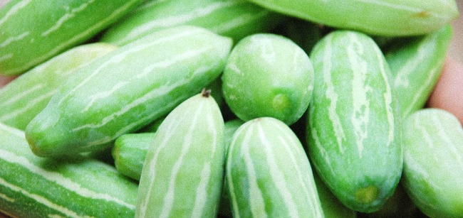 La crisis del pepino está causando numerosas pérdidas en Andalucía/karinapazz en flickr