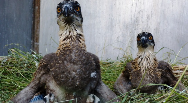 Imagen de la Fundación Migres