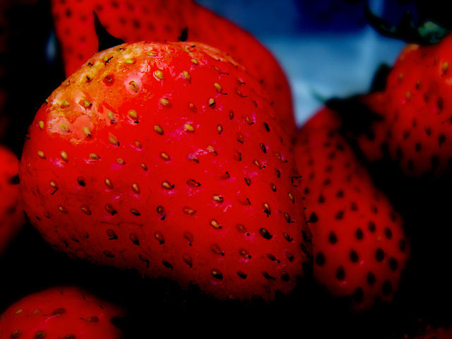 El estudio demuestra que comer fresas es beneficioso para impedir la oxidación de la sangre/brunoc/Flickr.com