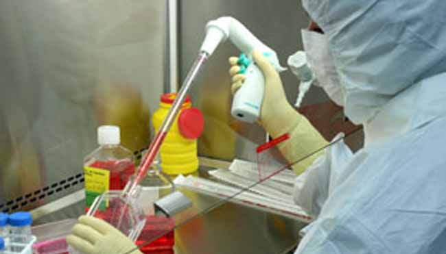 investigacion-medica