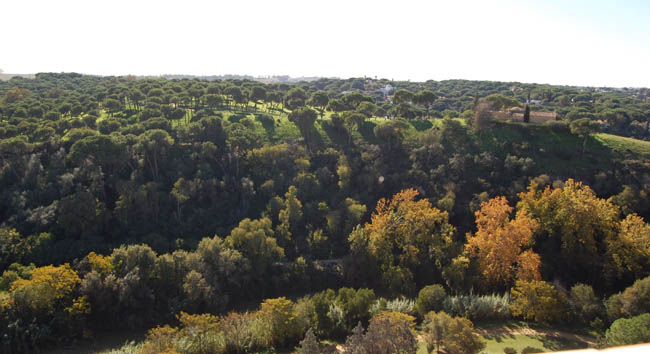 pulmon-verde-sevilla