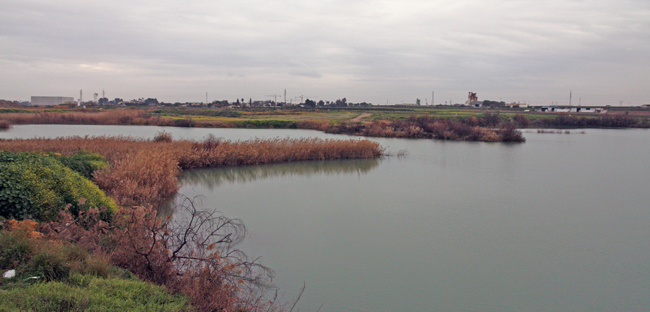 acuifero-las-graveras-la-rinconada
