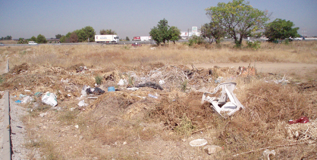 parque-del-tamarguillo-110811