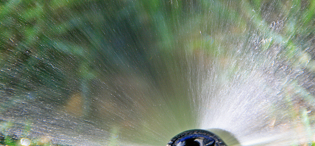 Imagen: Miguel en Flickr